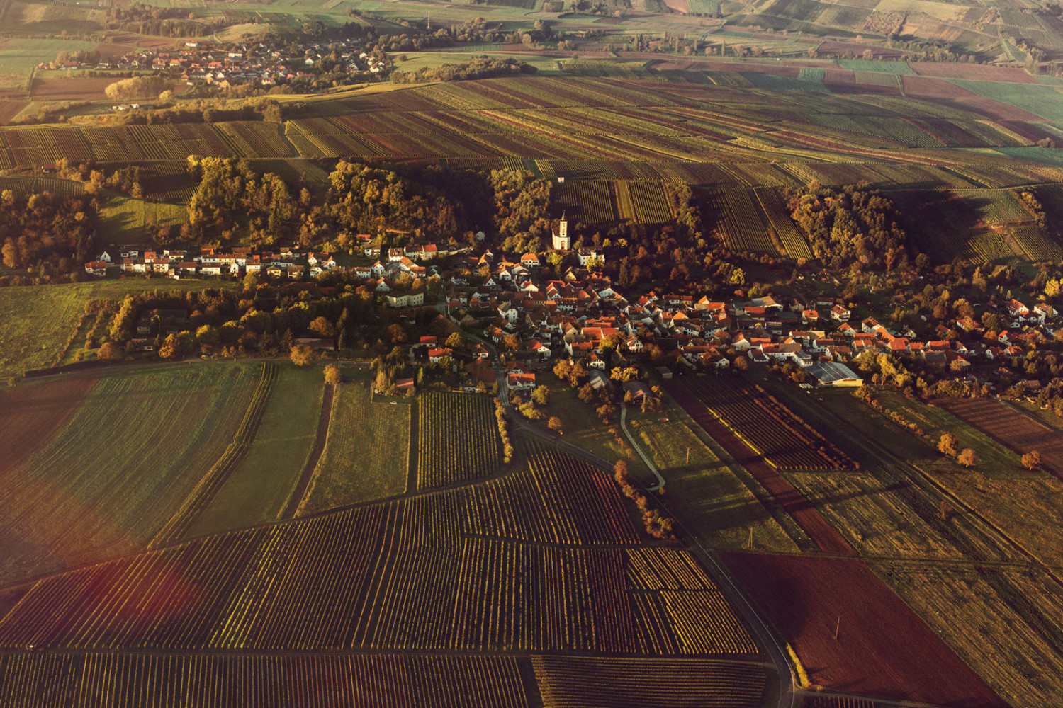 Vogelperspektive auf ein großes Weingut