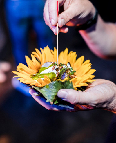 Nachhaltiges Catering Frankfurt Besonders – GOOSE Gourmet