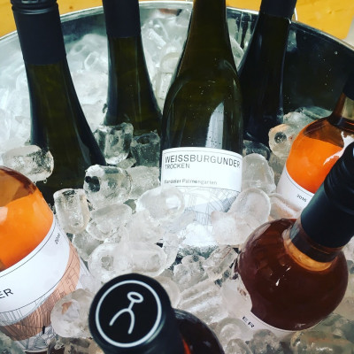 Mehrere Weinflaschen in Eis