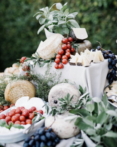 Käsebuffet mit Kräuter und Traubendekoration