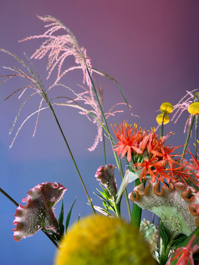 Detail eines bunten Blumenstraußes